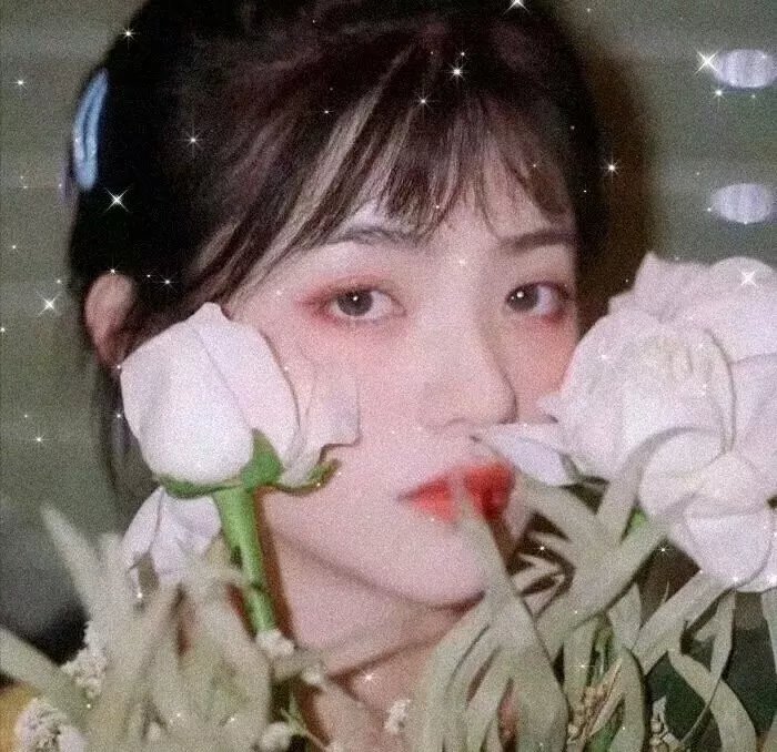 家族荣耀粤语